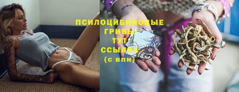 Галлюциногенные грибы Cubensis  Кириллов 